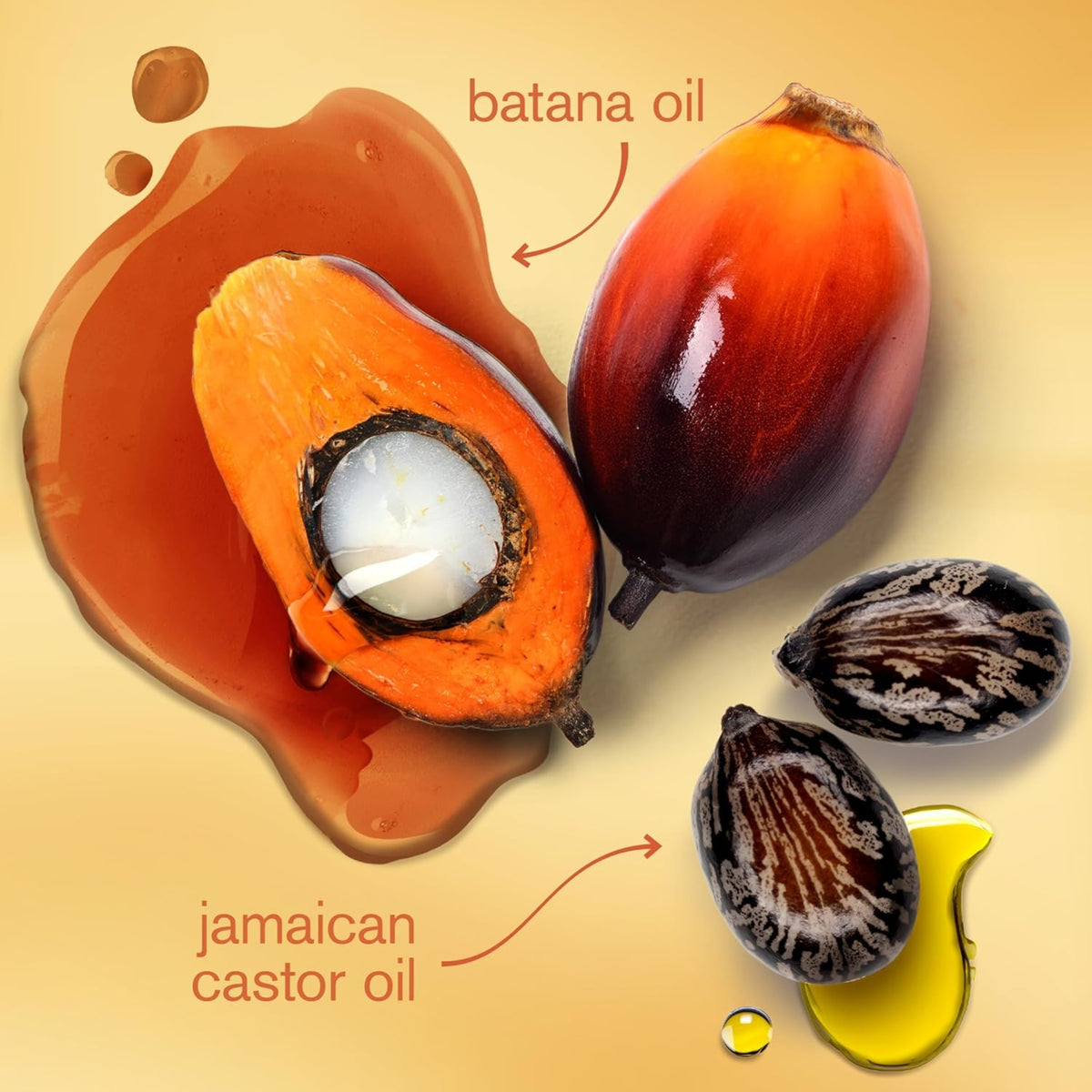 Batana oil and Jamaican castor oil with sliced ​​palm fruit, whole red fruit and castor seed next to golden oil drops.