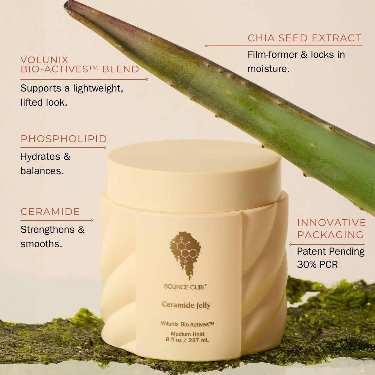Bounce Curl Ceramide Jelly hair product in cream colored container with ingredient list, surrounded by green leaf and moss on a beige background.