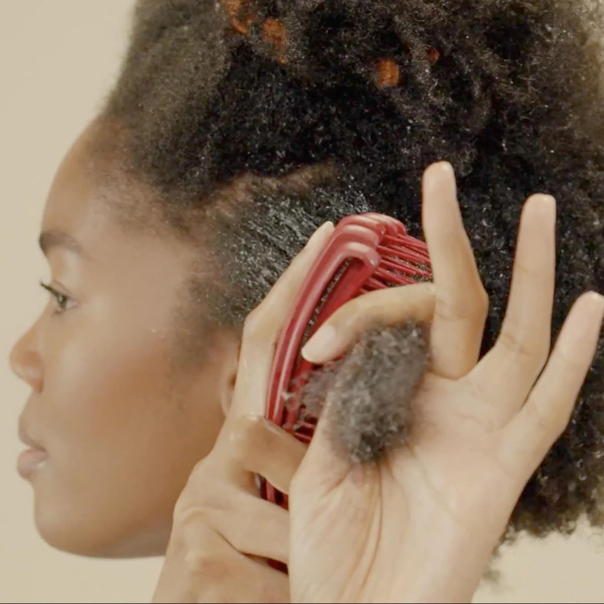 Woman combs her natural curly hair with red blunt comb to remove hair loss gently.