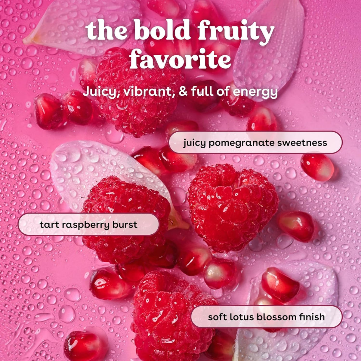 Raspberries and pomegranate seeds on a wet pink background with lotus flower petals – the bold fruity favorite flavour.