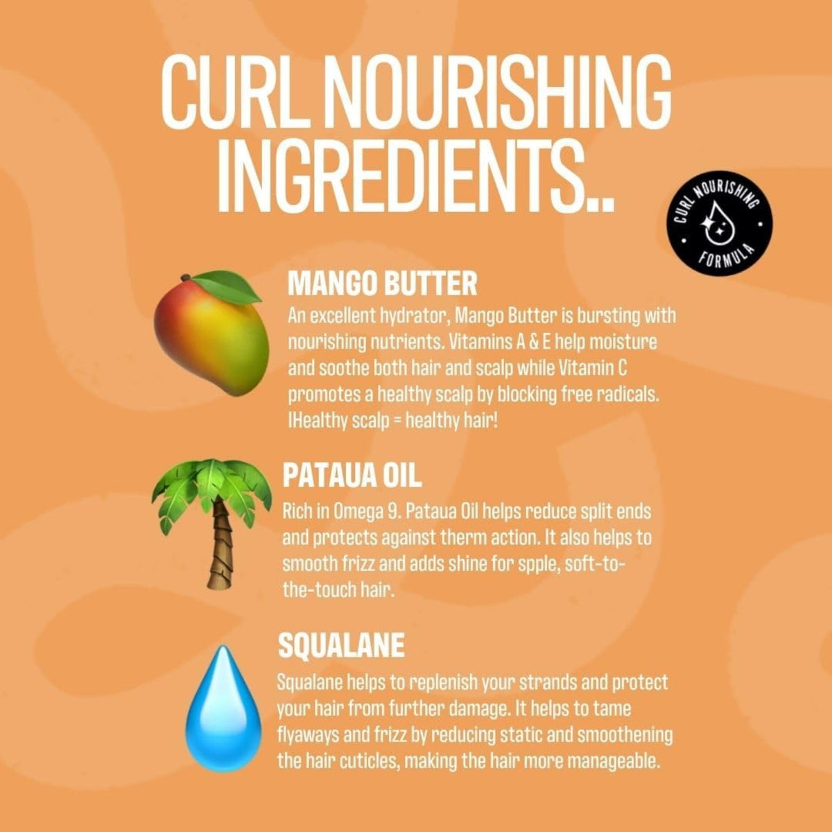 Curl Nourishing ingredients: mango, palm tree and water drop illustrate mango butter, pataua oil and squalane for hair care.
