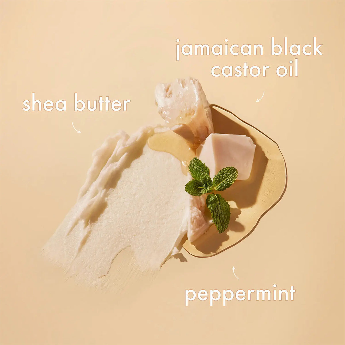 Visual representation of the key ingredients in Shea Moisture Jamaican Black Castor Oil Leave-In Conditioner: creamy shea butter, liquid castor oil and green peppermint leaves.